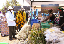 President Museveni Unveils Three-Phase Food Stabilisation Strategy for Karamoja
