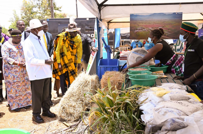 President Museveni Unveils Three-Phase Food Stabilisation Strategy for Karamoja