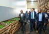 Government Moves to Protect Raw Materials and Resolve Power Grid Failures for Seeta-Namanve Manufacturers