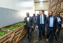 Government Moves to Protect Raw Materials and Resolve Power Grid Failures for Seeta-Namanve Manufacturers