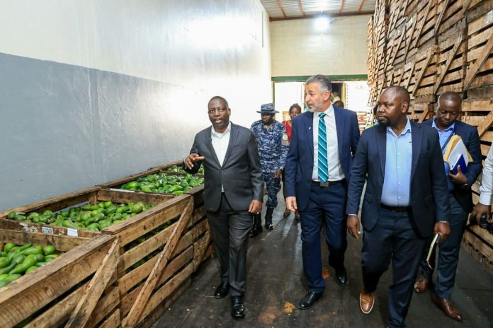 Government Moves to Protect Raw Materials and Resolve Power Grid Failures for Seeta-Namanve Manufacturers