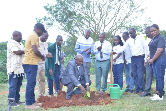 Mukono Chairperson Urges Farmers to Embrace Coffee and Cocoa Farming