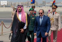 Sisi says Egypt to ‘defend Saudi territory’ and will not attack Yemen