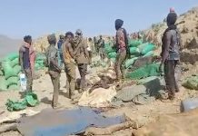 Sudan airstrike kills five children: rights group