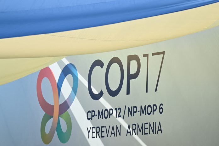 Nations urged to end harmful subsidies at UN biodiversity summit