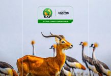 Uganda Banks on AFCON 2027 to Boost Tourism