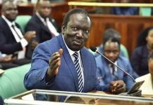 Nambeshe says Parliament Staff Verification Unlikely to Cost Jobs