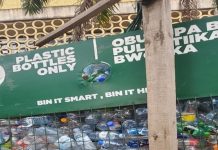 Turning plastic waste into purpose as Youth and Communities unite to protect wildlife
