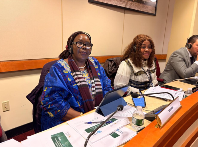 Uganda Demands Predictable Funding and Joint AU-UN Frameworks for Continental Peace Operations