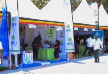 UDB urges Tourism Players to Leverage Patient Capital to Unlock Eastern Uganda’s Tourism Potential
