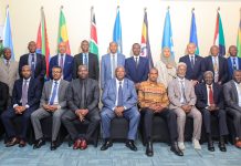 Eastern Africa Steps Up Regional Fight against Migratory Pests