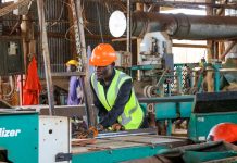FAO Launches Enterprise Acceleration Programme to Boost Investment Readiness and Financing for Wood-Based SMEs