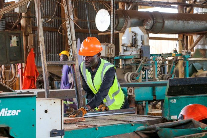 FAO Launches Enterprise Acceleration Programme to Boost Investment Readiness and Financing for Wood-Based SMEs