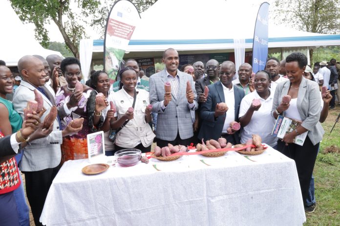 Uganda unveils Three New Purple-Fleshed Sweet Potato Varieties to Boost Nutrition and Food Security on World Food Day