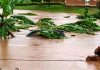 Uganda Steps Up Anticipatory Action to Mitigate Extreme Weather Risks Amid El Niño Threat