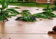 Uganda Steps Up Anticipatory Action to Mitigate Extreme Weather Risks Amid El Niño Threat