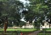 Government says no Decision has been made on Proposed City Square Redevelopment
